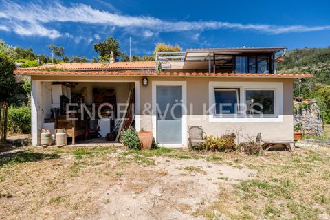 Villa i Monchique, Faro, Monchique - € 850.000 | Ref: W-049KWX - foto 27