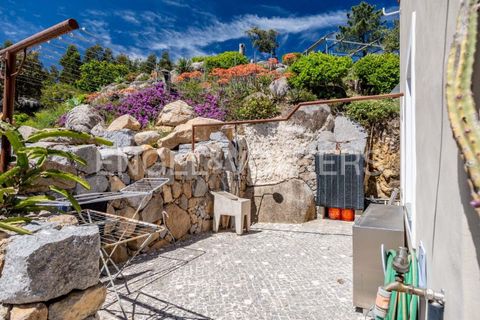 Villa i Monchique, Faro, Monchique - € 850.000 | Ref: W-049KWX - foto 30