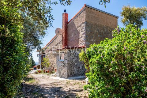 Villa i Monchique, Faro, Monchique - € 850.000 | Ref: W-049KWX - foto 31