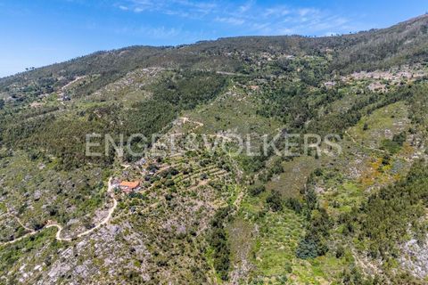 Villa i Monchique, Faro, Monchique - € 850.000 | Ref: W-049KWX - foto 33