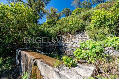 Villa i Monchique, Faro, Monchique - € 850.000 | Ref: W-049KWX - foto 39