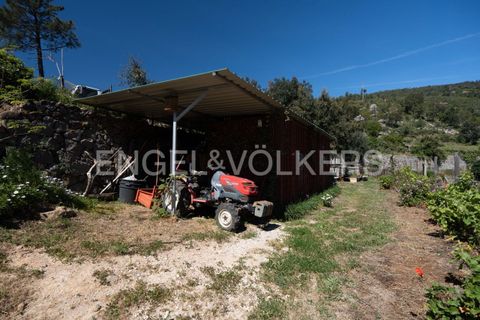 Villa i Monchique, Faro, Monchique - € 850.000 | Ref: W-049KWX - foto 40