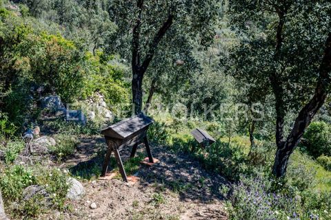 Villa i Monchique, Faro, Monchique - € 850.000 | Ref: W-049KWX - foto 44