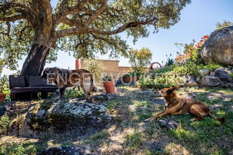 Villa i Monchique, Faro, Monchique - € 850.000 | Ref: W-049KWX - foto 45