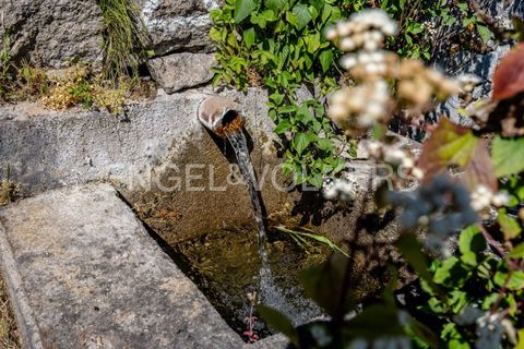 Villa i Monchique, Faro, Monchique - € 850.000 | Ref: W-049KWX - foto 46