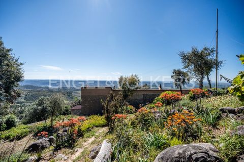 Villa i Monchique, Faro, Monchique - € 850.000 | Ref: W-049KWX - foto 47