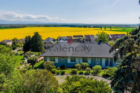 Landejendom i Dietwiller, Haut-Rhin, Dietwiller - € 349.000 | Ref: 86961749 - foto 1