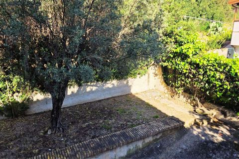 Leilighet i Cetraro, Cosenza, Cetraro - € 175 000 | Ref: 1534 - foto 6