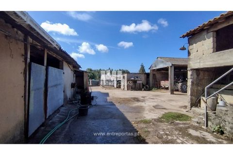 Villa i Vila do Conde, Porto, Vila do Conde - € 376.000 | Ref: VC05059 - foto 18