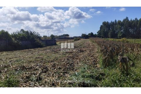 Villa i Vila do Conde, Porto, Vila do Conde - € 376.000 | Ref: VC05059 - foto 22