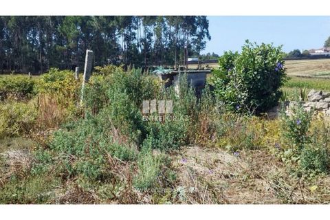 Villa i Vila do Conde, Porto, Vila do Conde - € 376.000 | Ref: VC05059 - foto 23