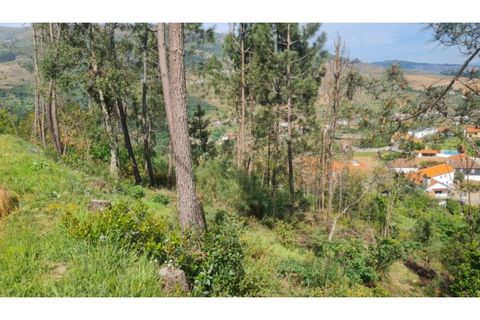 Helårsgrund i Gestaco, Porto, Gestaco - € 35.000 | Ref: MC09920 - foto 2