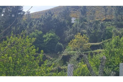 Helårsgrund i Gestaco, Porto, Gestaco - € 35.000 | Ref: MC09920 - foto 4