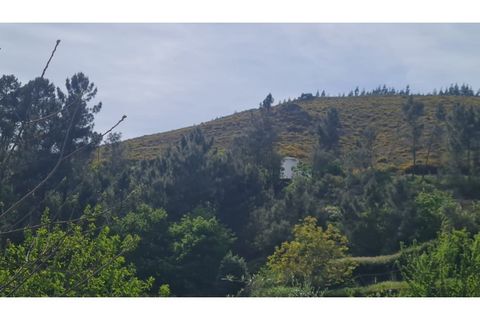 Helårsgrund i Gestaco, Porto, Gestaco - € 35.000 | Ref: MC09920 - foto 5