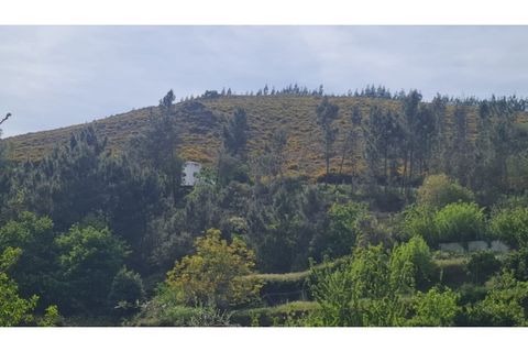 Helårsgrund i Gestaco, Porto, Gestaco - € 35.000 | Ref: MC09920 - foto 7