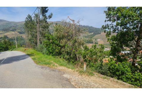 Helårsgrund i Gestaco, Porto, Gestaco - € 35.000 | Ref: MC09920 - foto 8