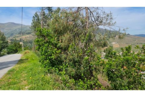 Helårsgrund i Gestaco, Porto, Gestaco - € 35.000 | Ref: MC09920 - foto 9