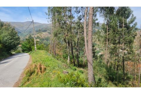 Helårsgrund i Gestaco, Porto, Gestaco - € 35.000 | Ref: MC09920 - foto 10