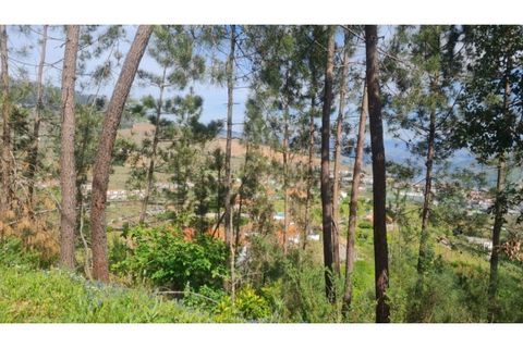 Helårsgrund i Gestaco, Porto, Gestaco - € 35.000 | Ref: MC09920 - foto 12