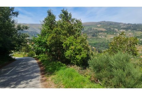 Helårsgrund i Gestaco, Porto, Gestaco - € 35.000 | Ref: MC09920 - foto 13