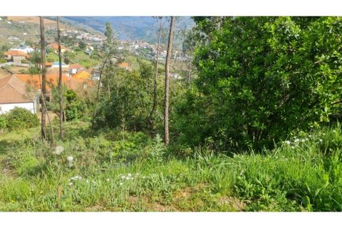 Helårsgrund i Gestaco, Porto, Gestaco - € 35.000 | Ref: MC09920 - foto 14