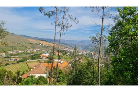 Helårsgrund i Gestaco, Porto, Gestaco - € 35.000 | Ref: MC09920 - foto 15
