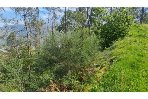Helårsgrund i Gestaco, Porto, Gestaco - € 35.000 | Ref: MC09920 - foto 17