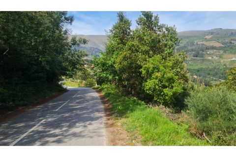 Helårsgrund i Gestaco, Porto, Gestaco - € 35.000 | Ref: MC09920 - foto 18
