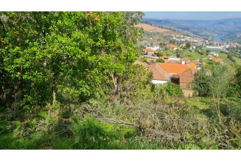 Helårsgrund i Gestaco, Porto, Gestaco - € 35.000 | Ref: MC09920 - foto 19