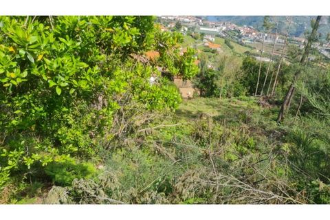 Helårsgrund i Gestaco, Porto, Gestaco - € 35.000 | Ref: MC09920 - foto 21
