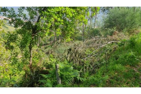 Helårsgrund i Gestaco, Porto, Gestaco - € 35.000 | Ref: MC09920 - foto 22