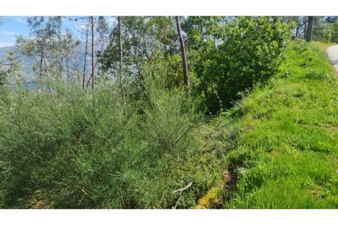 Helårsgrund i Gestaco, Porto, Gestaco - € 35.000 | Ref: MC09920 - foto 23