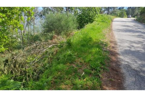 Helårsgrund i Gestaco, Porto, Gestaco - € 35.000 | Ref: MC09920 - foto 24