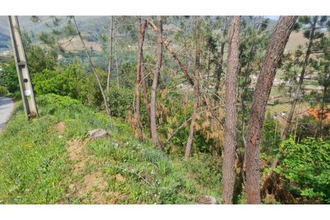 Helårsgrund i Gestaco, Porto, Gestaco - € 35.000 | Ref: MC09920 - foto 25