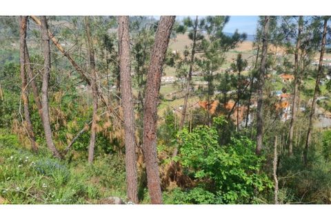 Helårsgrund i Gestaco, Porto, Gestaco - € 35.000 | Ref: MC09920 - foto 27