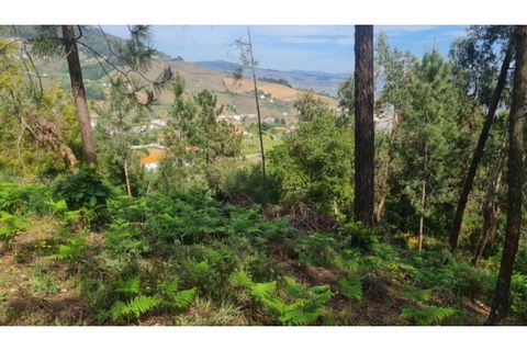 Helårsgrund i Gestaco, Porto, Gestaco - € 35.000 | Ref: MC09920 - foto 28