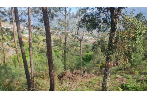 Helårsgrund i Gestaco, Porto, Gestaco - € 35.000 | Ref: MC09920 - foto 29