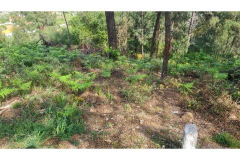 Helårsgrund i Gestaco, Porto, Gestaco - € 35.000 | Ref: MC09920 - foto 30