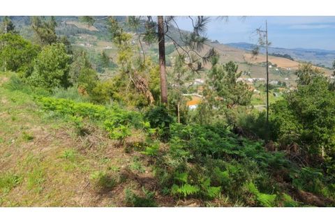 Helårsgrund i Gestaco, Porto, Gestaco - € 35.000 | Ref: MC09920 - foto 31