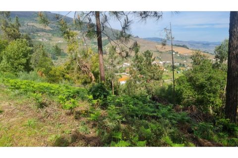 Helårsgrund i Gestaco, Porto, Gestaco - € 35.000 | Ref: MC09920 - foto 32