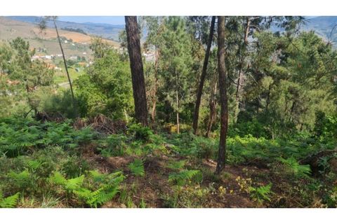 Helårsgrund i Gestaco, Porto, Gestaco - € 35.000 | Ref: MC09920 - foto 33