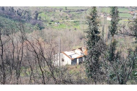 Landejendom i Frende, Porto, Frende - € 335.000 | Ref: MC09907 - foto 1