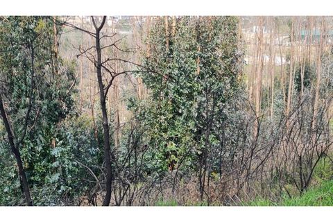 Landejendom i Frende, Porto, Frende - € 335.000 | Ref: MC09907 - foto 2