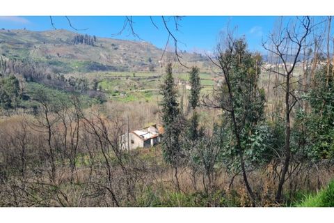 Landejendom i Frende, Porto, Frende - € 335.000 | Ref: MC09907 - foto 3