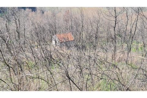 Landejendom i Frende, Porto, Frende - € 335.000 | Ref: MC09907 - foto 4
