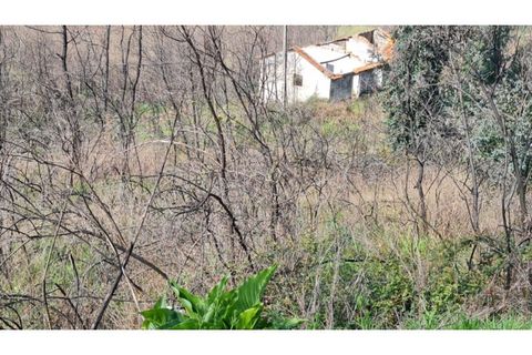 Landejendom i Frende, Porto, Frende - € 335.000 | Ref: MC09907 - foto 6