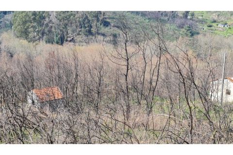 Landejendom i Frende, Porto, Frende - € 335.000 | Ref: MC09907 - foto 7