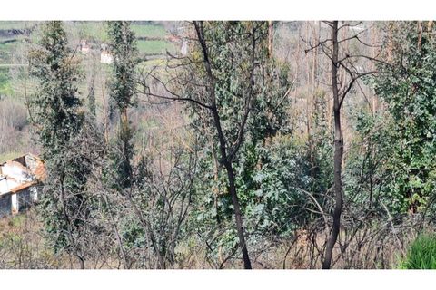 Landejendom i Frende, Porto, Frende - € 335.000 | Ref: MC09907 - foto 8