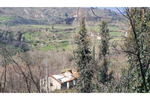 Landejendom i Frende, Porto, Frende - € 335.000 | Ref: MC09907 - foto 9