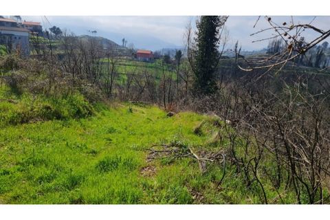 Landejendom i Frende, Porto, Frende - € 335.000 | Ref: MC09907 - foto 10